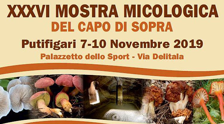 mostra_micologica_capo_di_sopra_putifigari_manifesto_2019