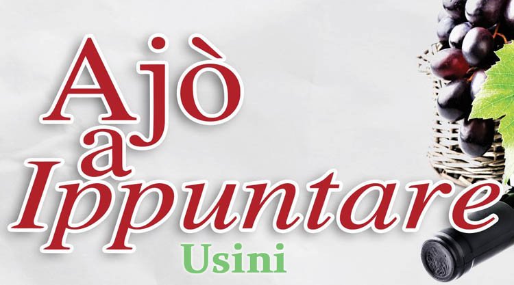 ajo-ippuntare-usini