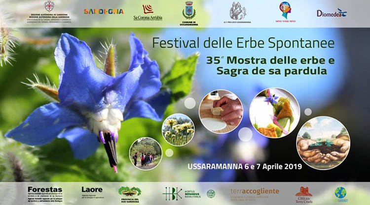 festival-erbe-spontanee-ussaramanna-manifesto-2019