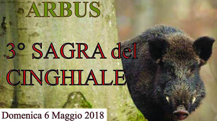 sagra-cinghiale-arbus-manifesto-2018