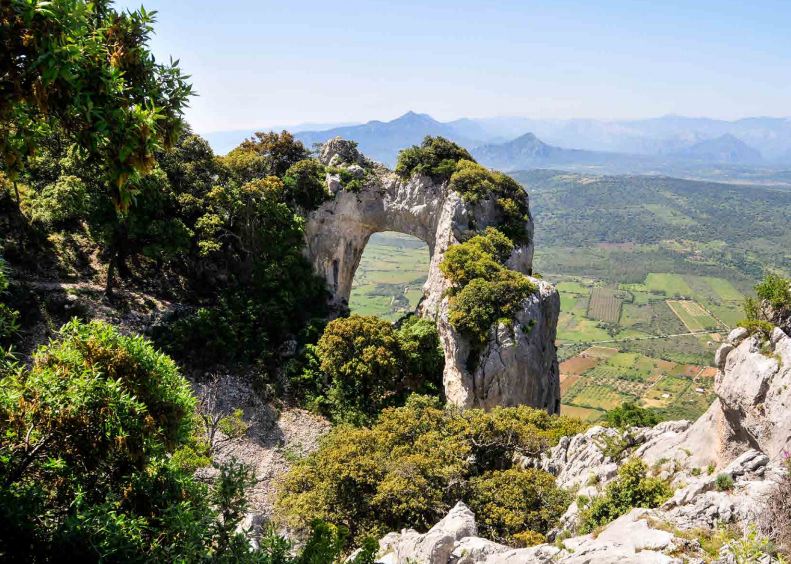 sa-preta-istampata-galtelli