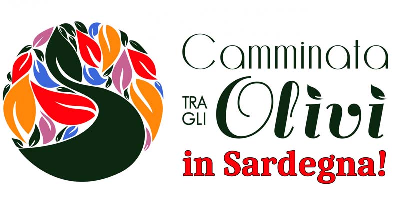 Camminata tra gli ulivi in Sardegna