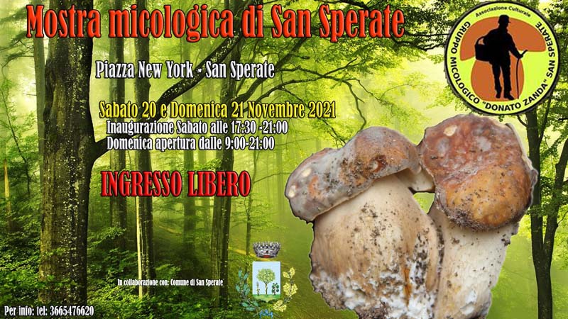 Mostra Micologica 2021 a San Sperate, manifesto, date e e orari