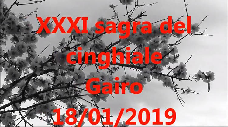 sagra-cinghiale-gairo-manifesto-2019