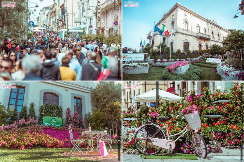 olbia-in-fiore-foto