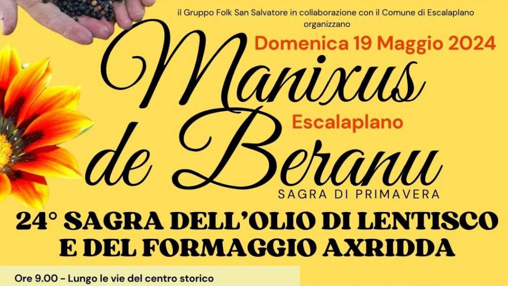 Sagra dell'olio di lentischio a Escalaplano, manifesto 2024