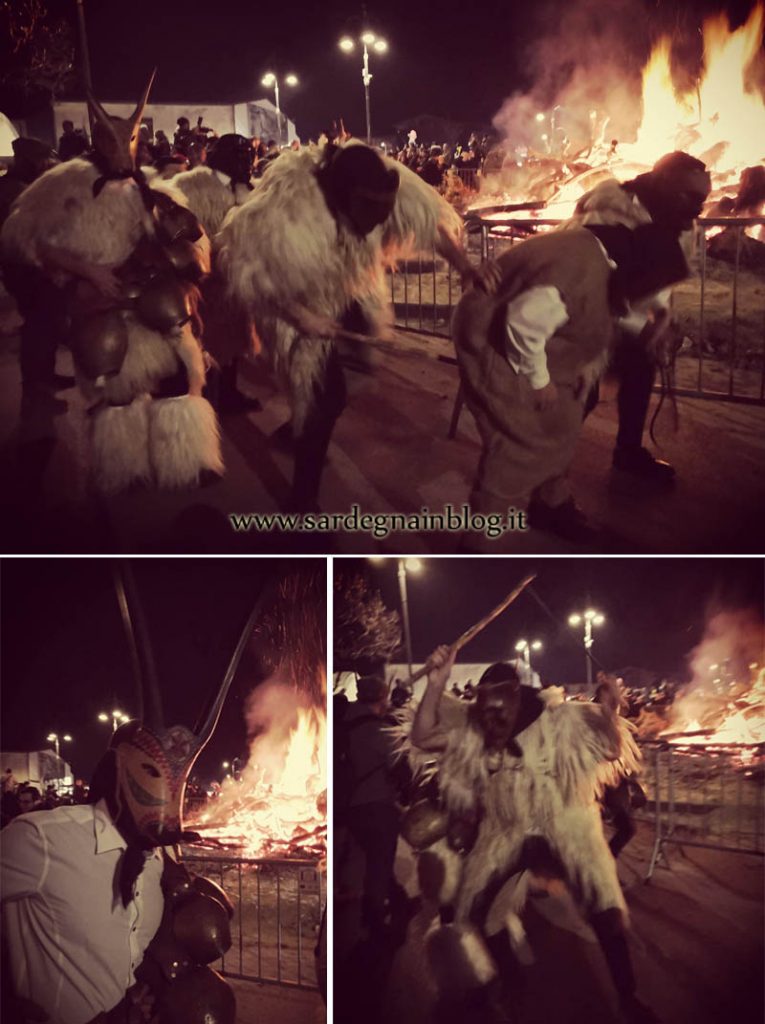 boes-merdules-fuoco-sant-antonio-ottana
