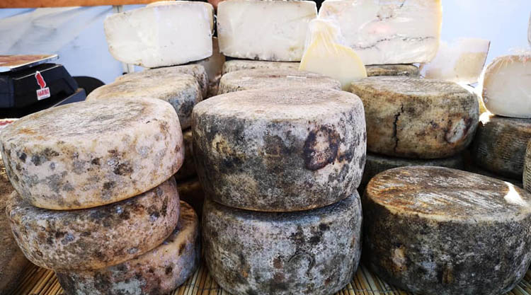 formaggi-sardegna