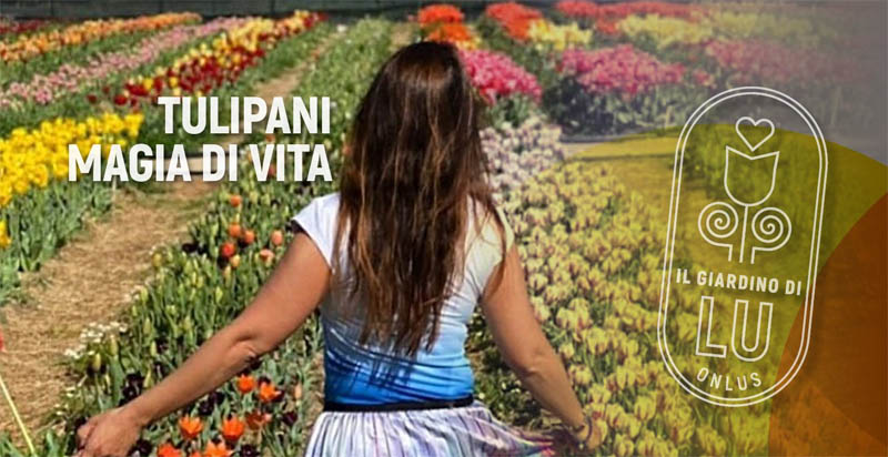 Il giardino di Lù a Pimentel