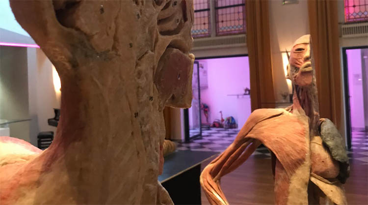 mostra-veri-corpi-umani