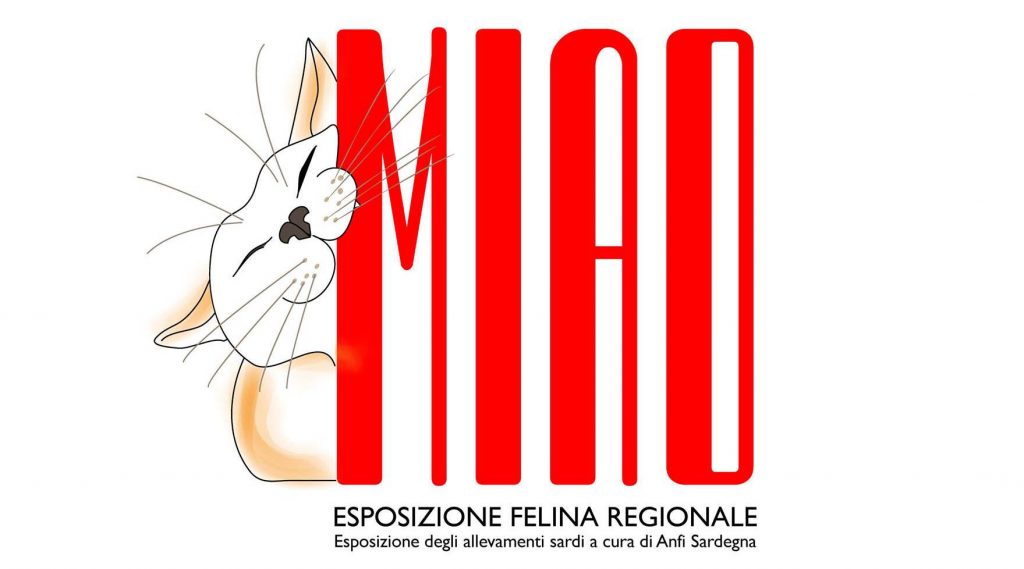 MIAO-esposizione_felina_regionale_macomer