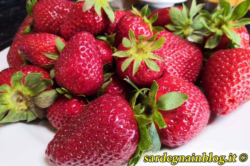 fragole_sardegna