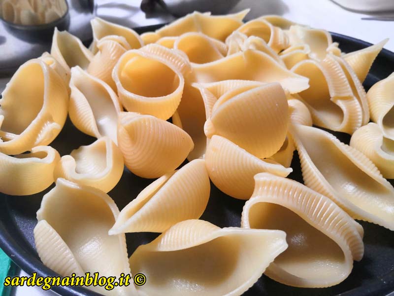 lumaconi_e_conchiglioni