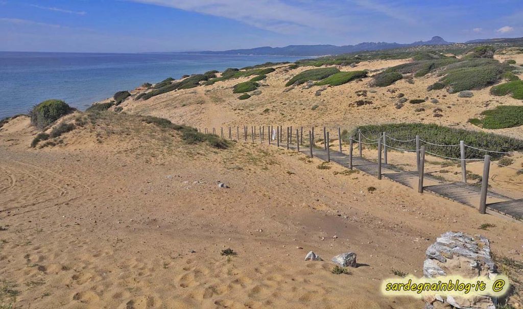 dune_scivu