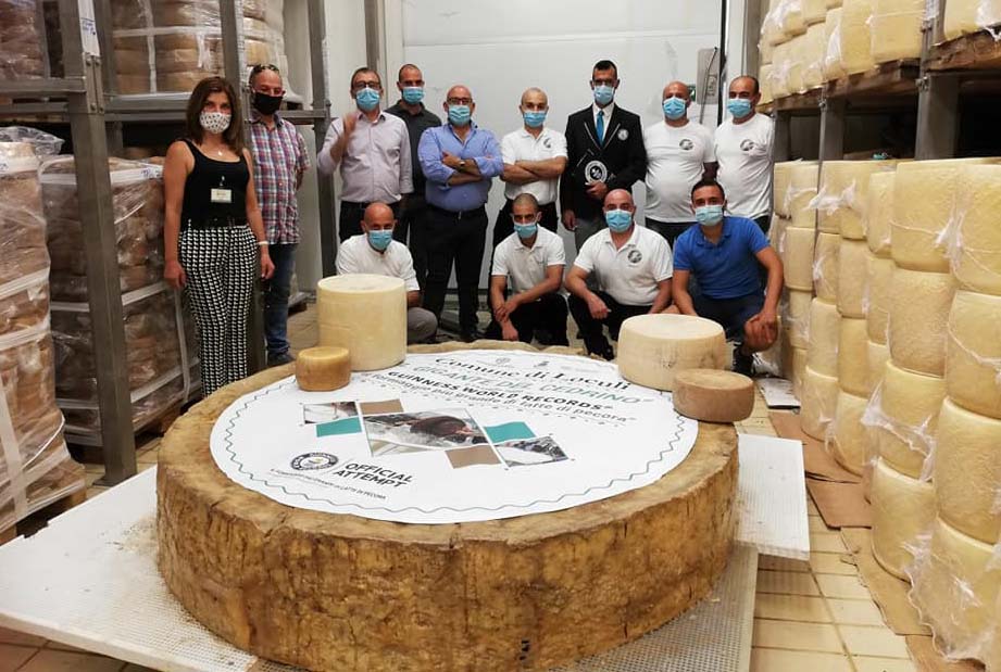 pecorino_gigante_del_ cedrino