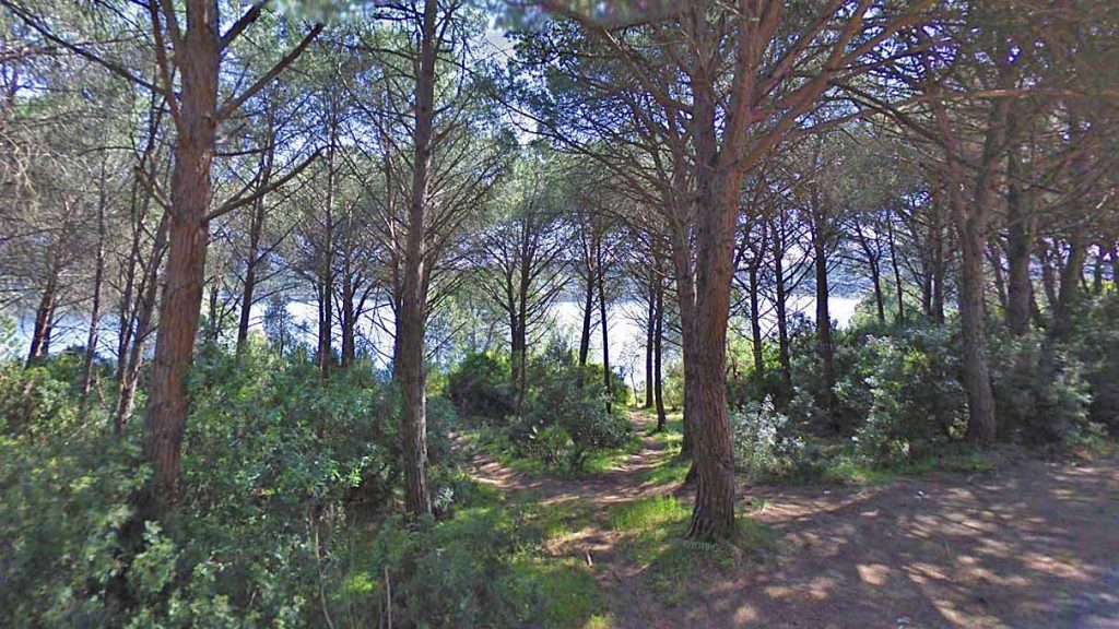 Pineta e lago di Baratz
