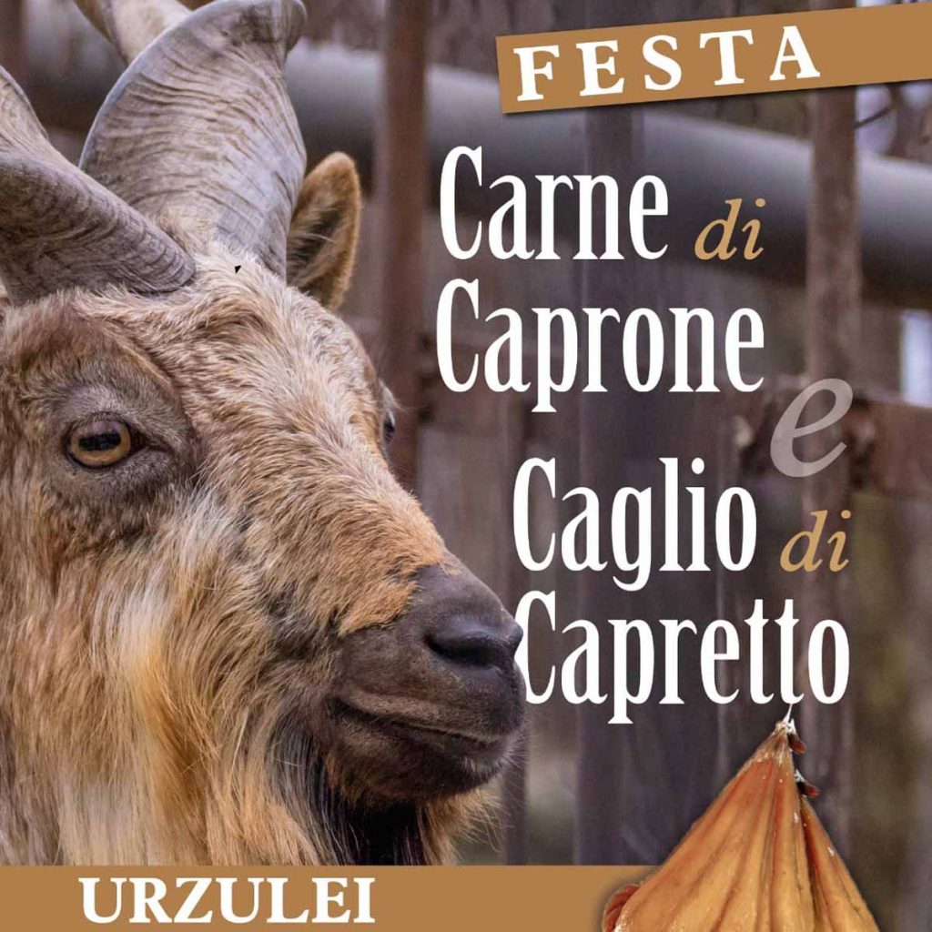 Sagra del caglio di capretto e carne di caprone a Urzulei, date e manifesto 2024