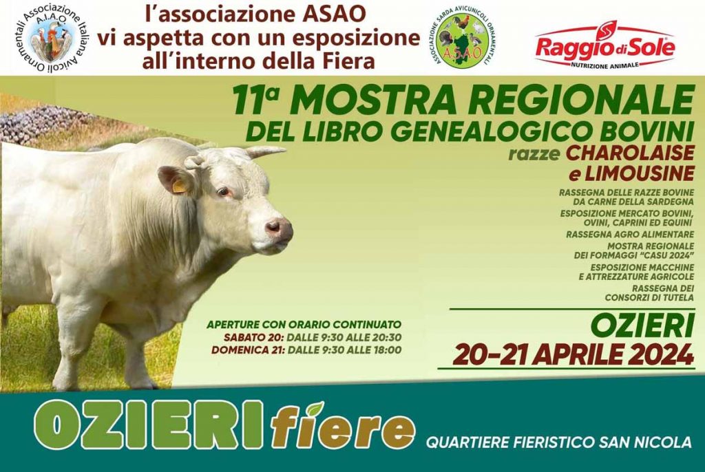 Mostra regionale dei bovini Ozieri 2024, manifesto con date e programma