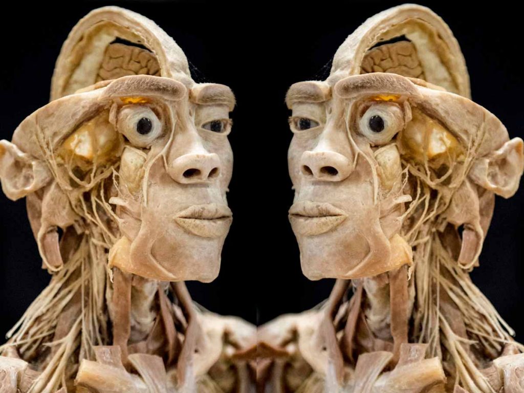 Mostra veri corpi umani in Sardegna