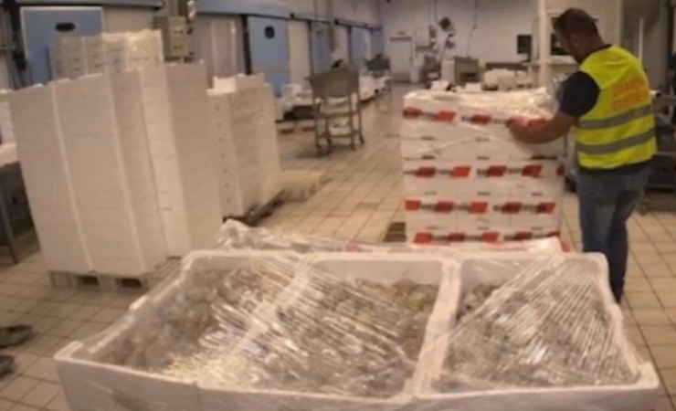 Gli ultimi aggiornamenti da Olbia