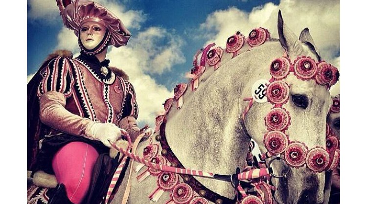 sartiglia-2014-oristano