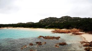 spiaggia-rosa-budelli