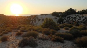 dune-piscinas