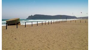 spiaggia-cani-poetto-cagliari