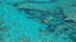nuotando-nel-mare-della-sardegna