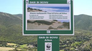 oasi-wwf-scivu-arbus