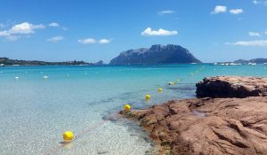 porto-istana-olbia