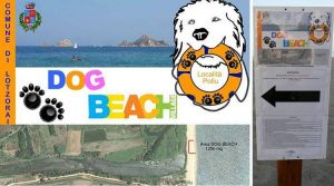 dog-beach-lotzorai