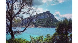 isola-figarolo