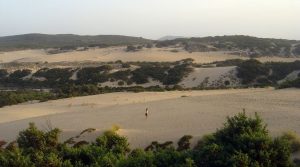 dune-piscinas