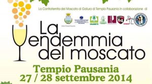 tempio-vendemmia-moscato-2014