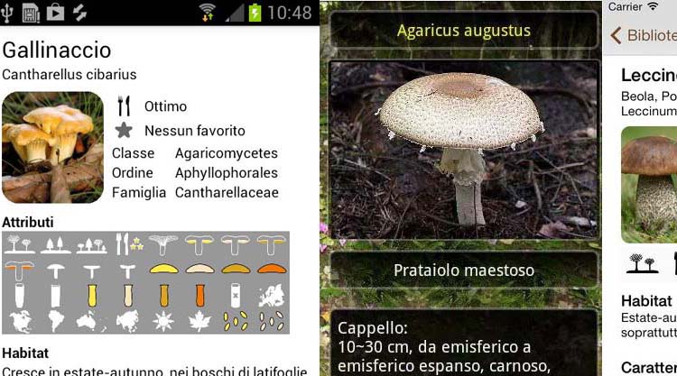 app-funghi-italia