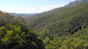 parco-gutturu-mannu