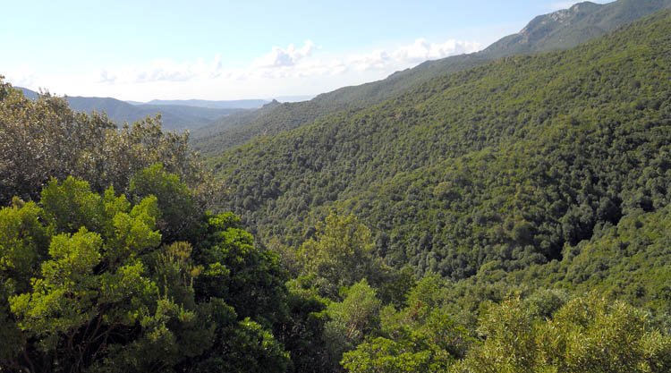 parco-gutturu-mannu
