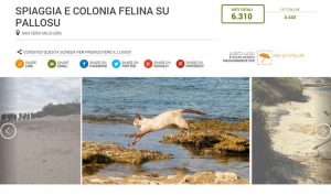 spiaggia-su-pallosu-luogo-del-cuore