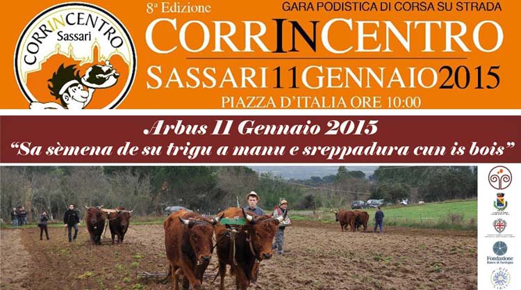 wvwnti-11-gennaio-sassari-arbus