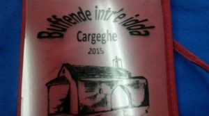 buffende-intr-idda-2015-cargeghe-manifesto