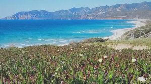 spiaggia-gonnesa-porto-paglia