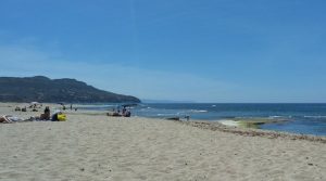 plagemesu-gonnesa