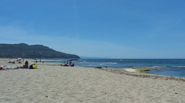 plagemesu-gonnesa