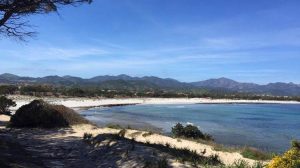 pineta-e-spiaggia-sant-anna-budoni