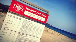 tiliguerta-dog-beach-ingresso