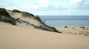 dune-piscinas-arbus