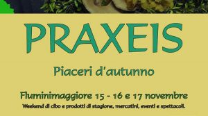 praxeis_fluminimaggiore_manifesto_2019