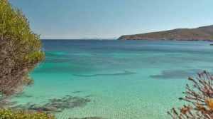 mare-asinara
