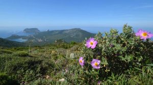 Parco di Porto Conte ad Alghero